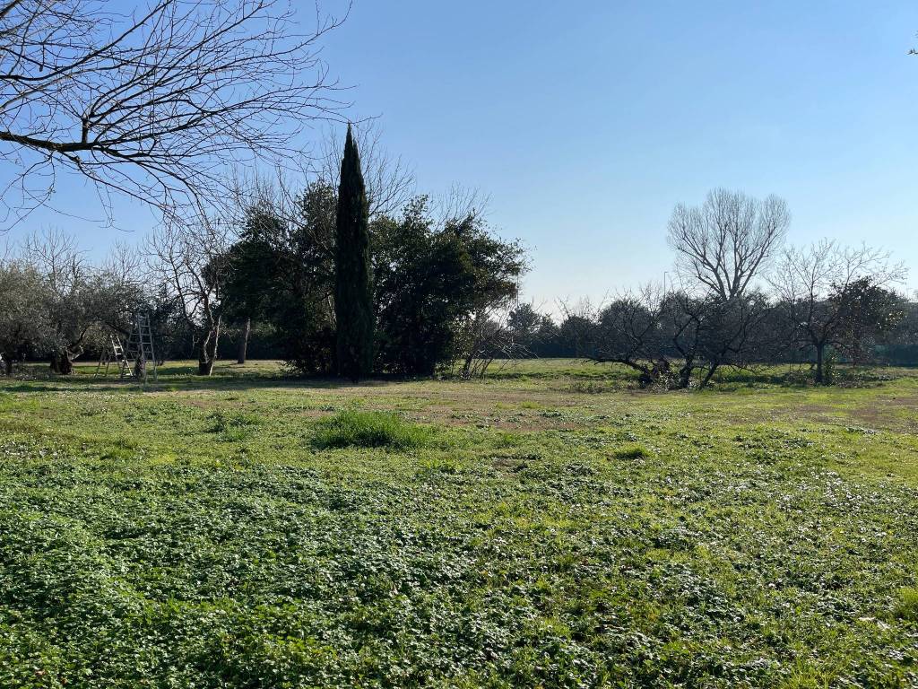 Villa a Riccione in Viale Basilicata - Foto 2