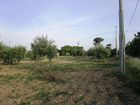 Terreno a Foggia in Via del Mare - Foto 3