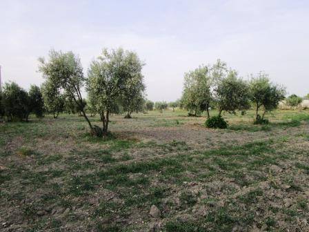 Terreno a Foggia in Via del Mare - Foto 5