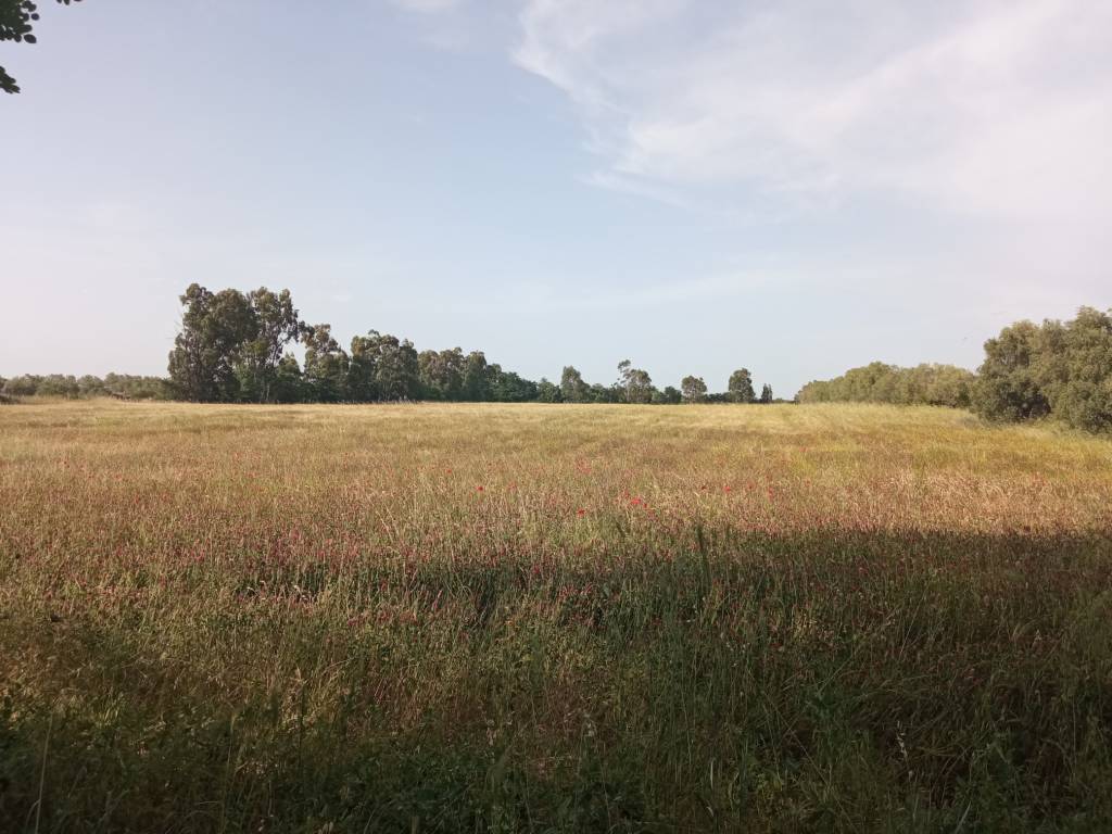 Terreno a Vetralla - Foto 3