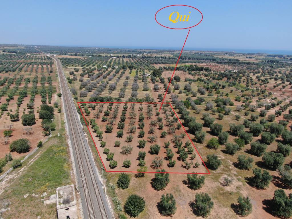 Terreno a Brindisi in Strada Comunale Baccatani - Foto 2