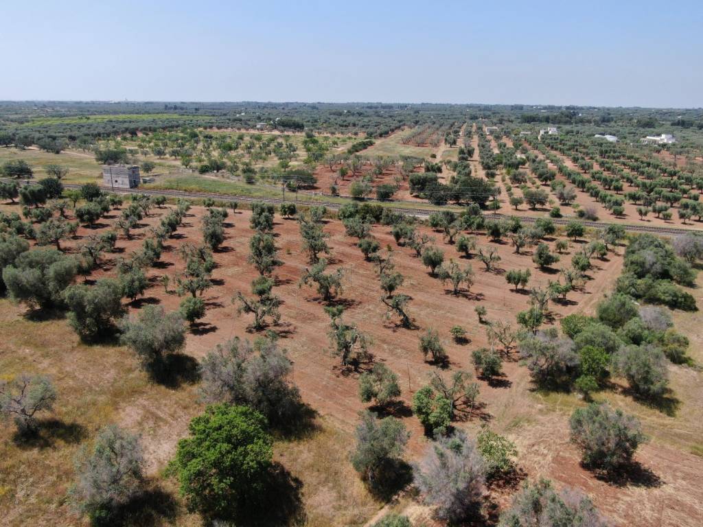Terreno a Brindisi in Strada Comunale Baccatani - Foto 3