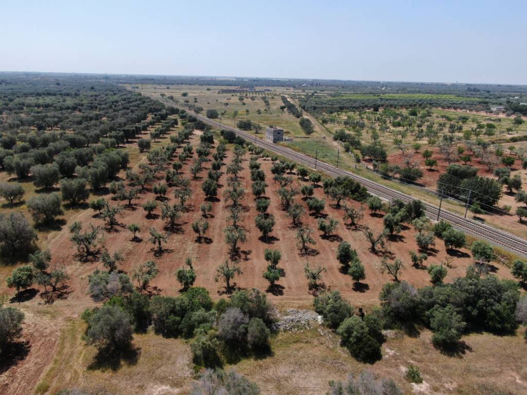 Terreno a Brindisi in Strada Comunale Baccatani - Foto 4