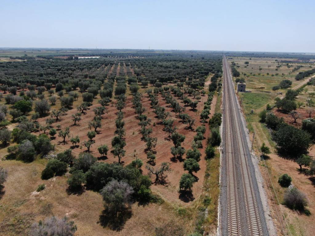 Terreno a Brindisi in Strada Comunale Baccatani - Foto 5