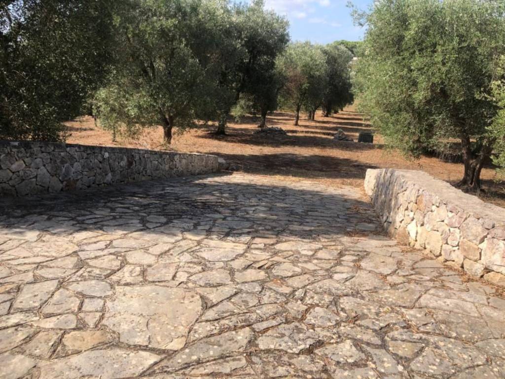 Villa a Ostuni in Contrada Sessana Piccola - Foto 3