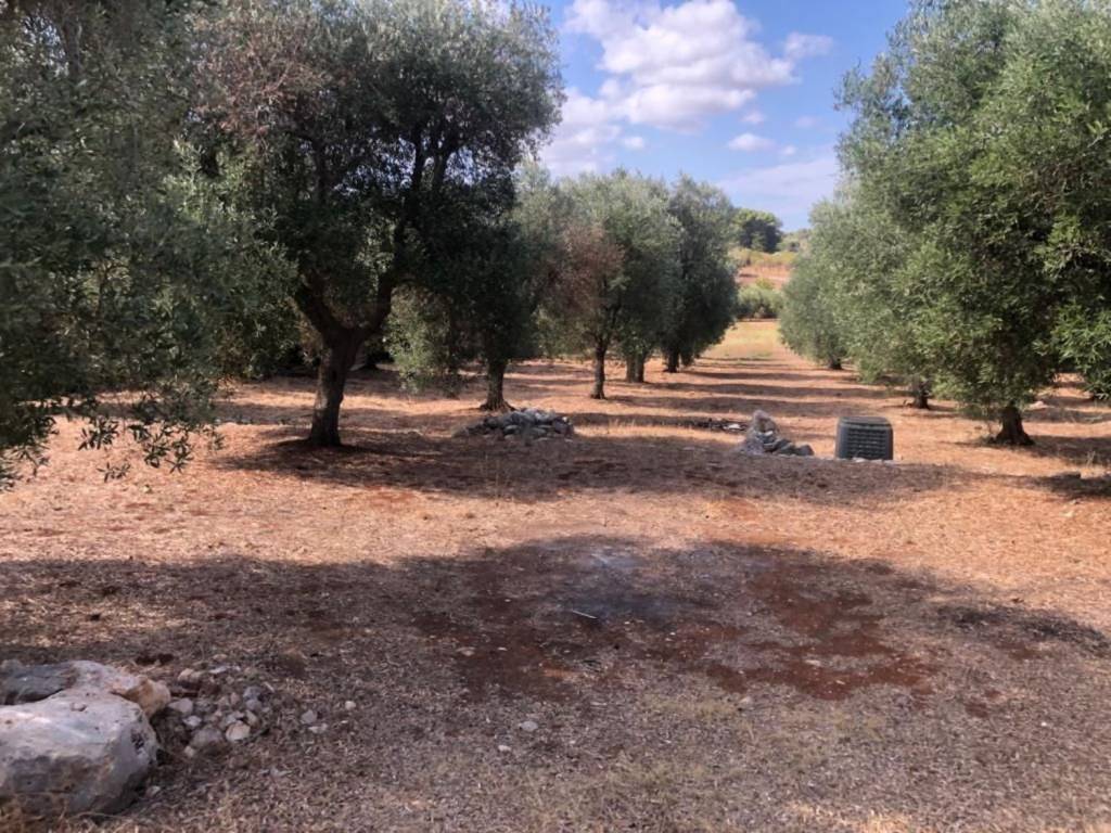 Villa a Ostuni in Contrada Sessana Piccola - Foto 4