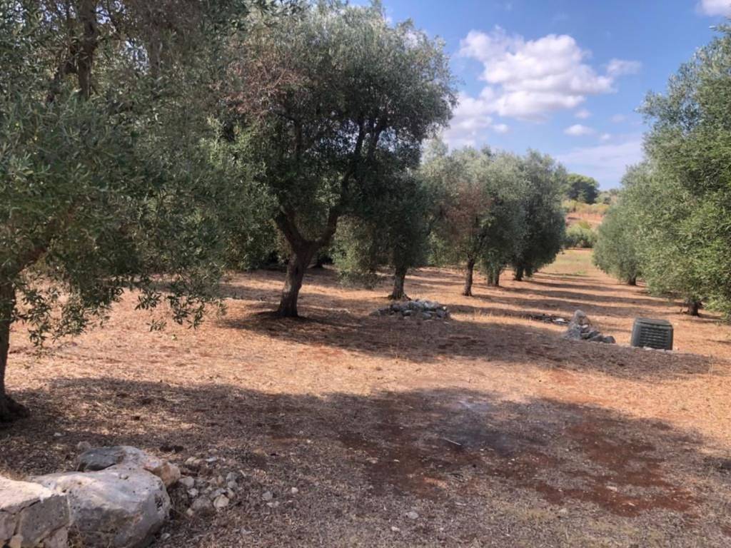 Villa a Ostuni in Contrada Sessana Piccola - Foto 5