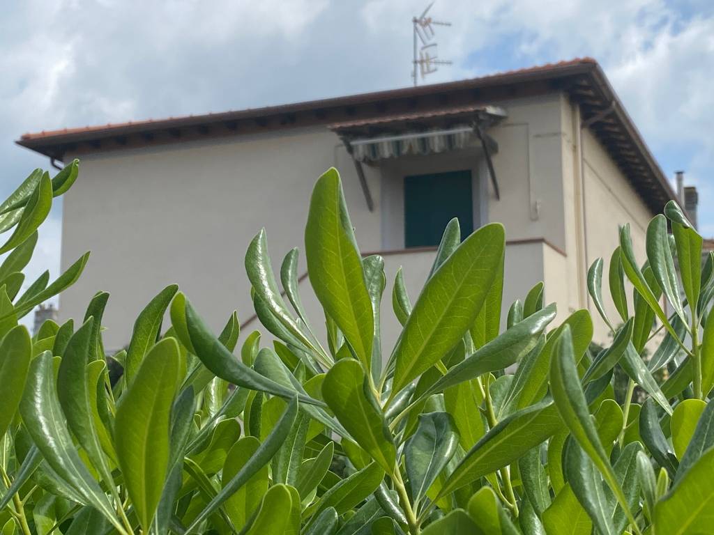 Appartamento a Rosignano marittimo - Foto 3