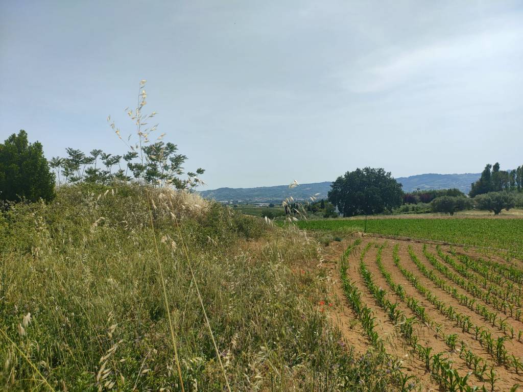 Terreno a Spoltore in Via Monte Marmolada - Foto 5