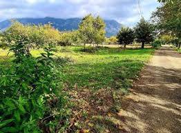 Terreno a San giuliano terme in via don sturzo - Foto 4