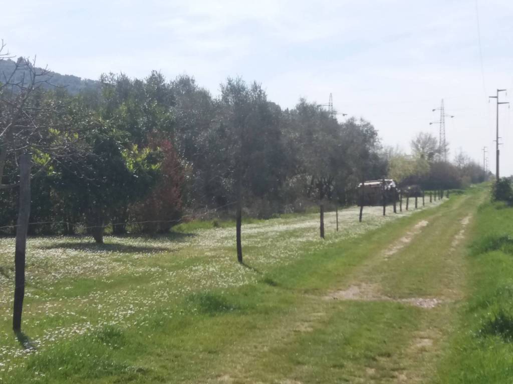 Terreno a San giuliano terme in via don sturzo - Foto 5