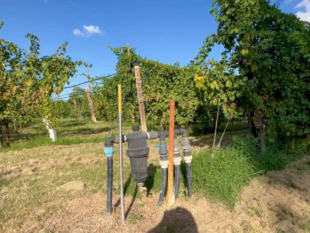 Terreno a Bagnacavallo in Via Sinistra Canale Inferiore, 20 - Foto 5