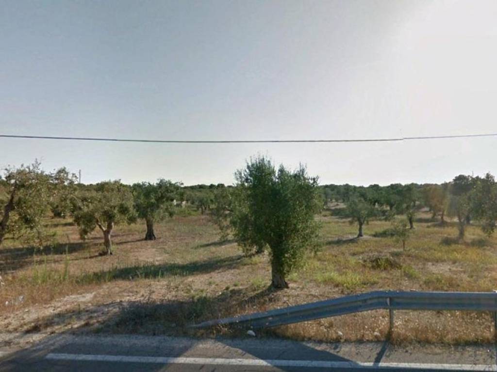Rustico / casale a Vernole in SS611 - Foto 5
