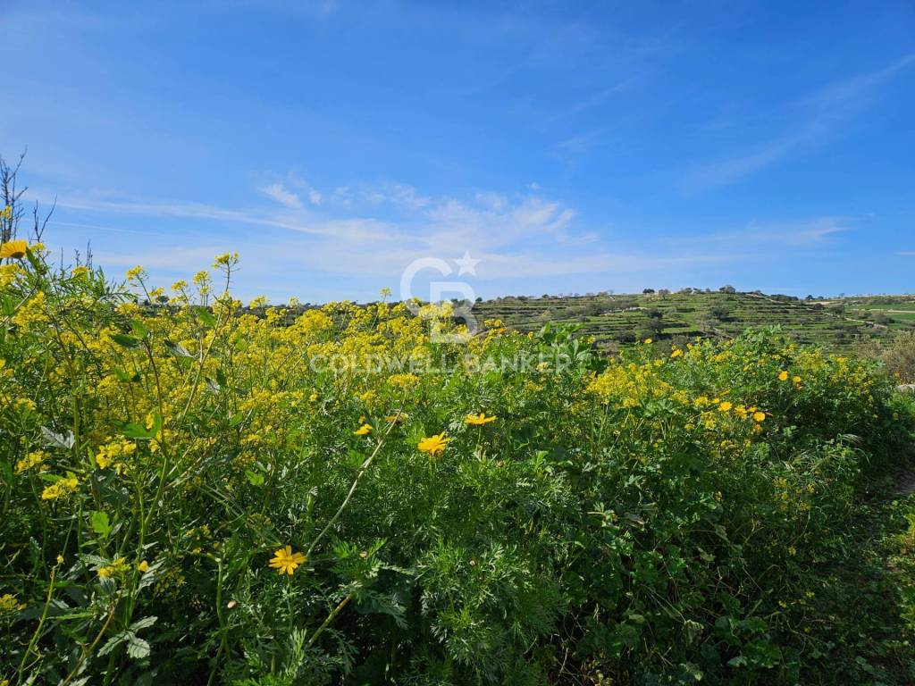 Rustico / casale a Modica in Contrada Rampolo - Foto 5