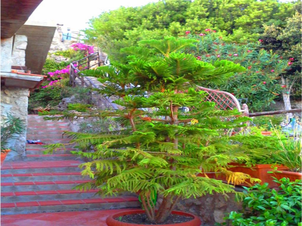 Villa a Monte argentario in Località Poggio Pertuso - Foto 5