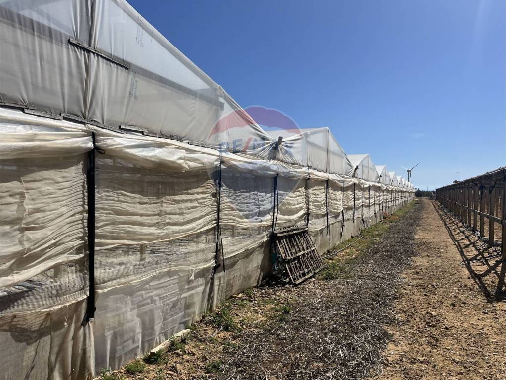 Terreno a Gela in contrada feudo nobile - Foto 3