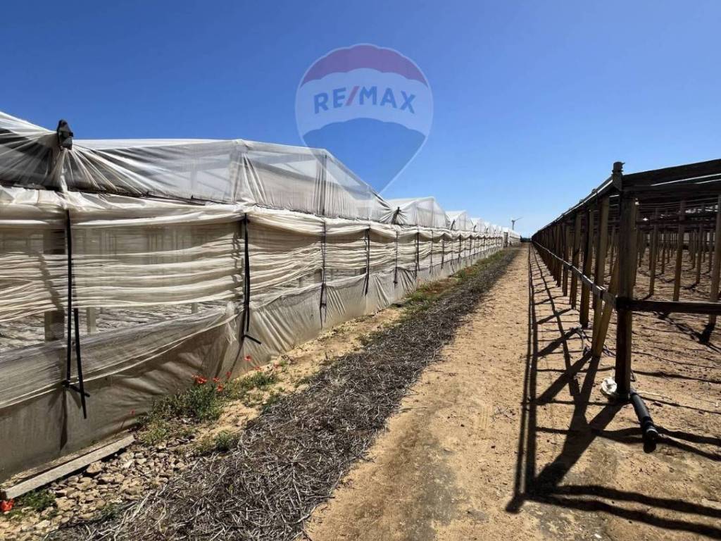 Terreno a Gela in contrada feudo nobile - Foto 4