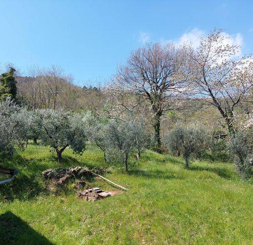 Rustico / casale a Marliana - Foto 3