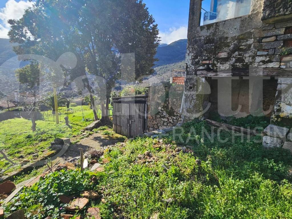 Rustico / casale a Marciana marina - Foto 3