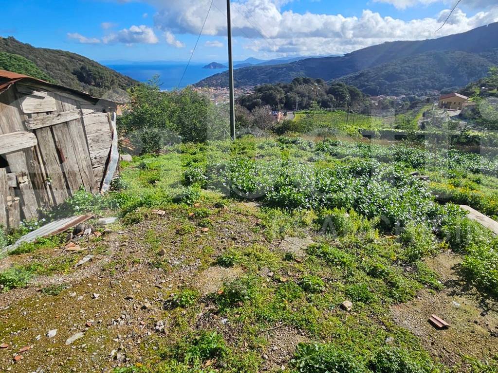 Rustico / casale a Marciana marina - Foto 5