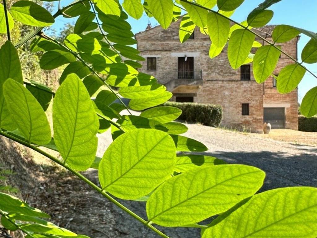Rustico / casale a Falerone in Contrada delle Piaggiole, 9 - Foto 2