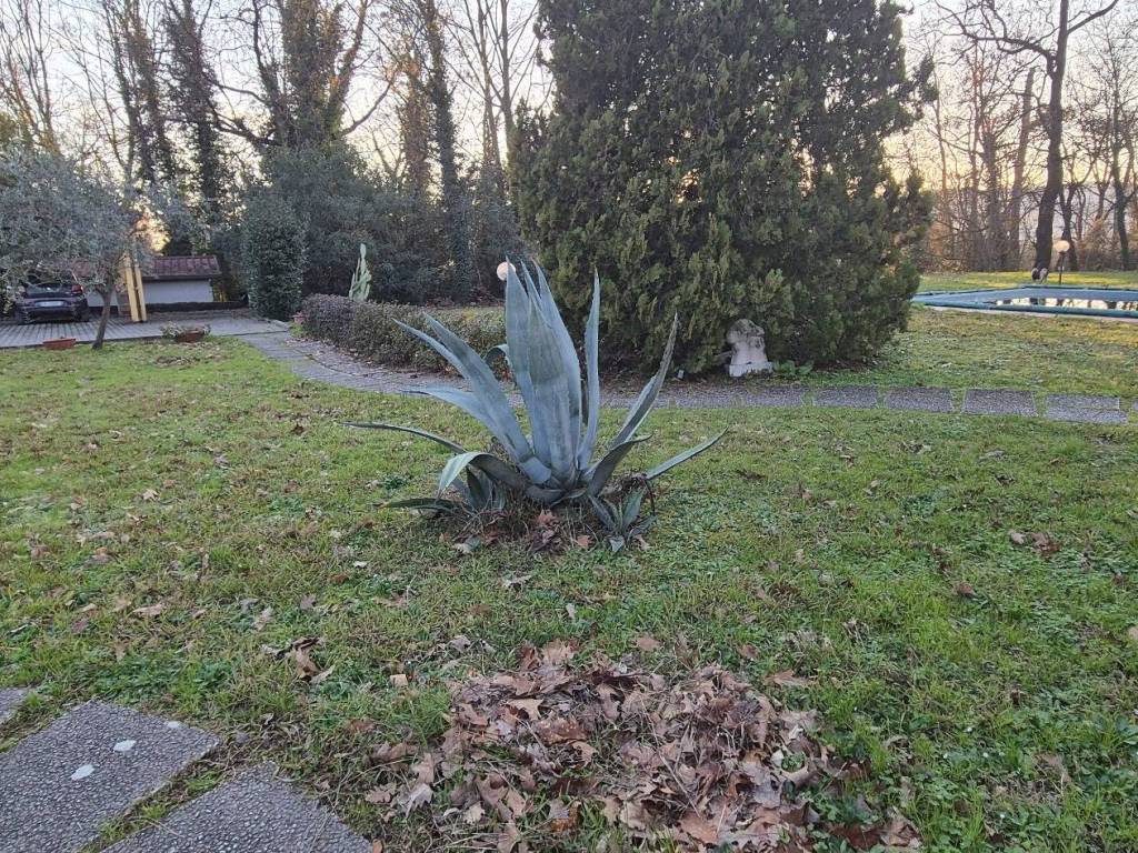 Villa a Castelnuovo magra - Foto 3