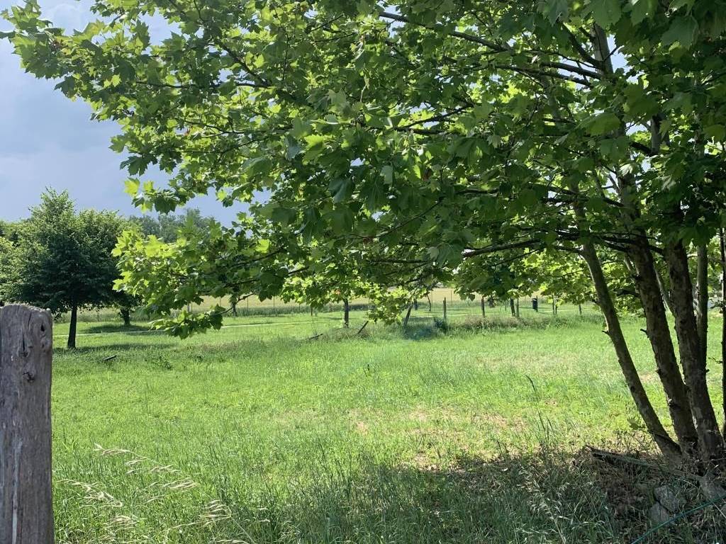 Terreno a Russi - Foto 2