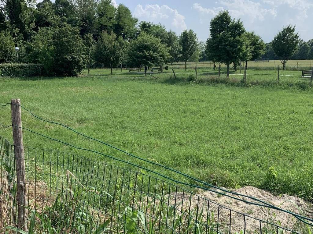 Terreno a Russi - Foto 3