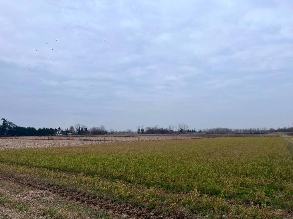 Terreno a Fontanafredda - Foto 3