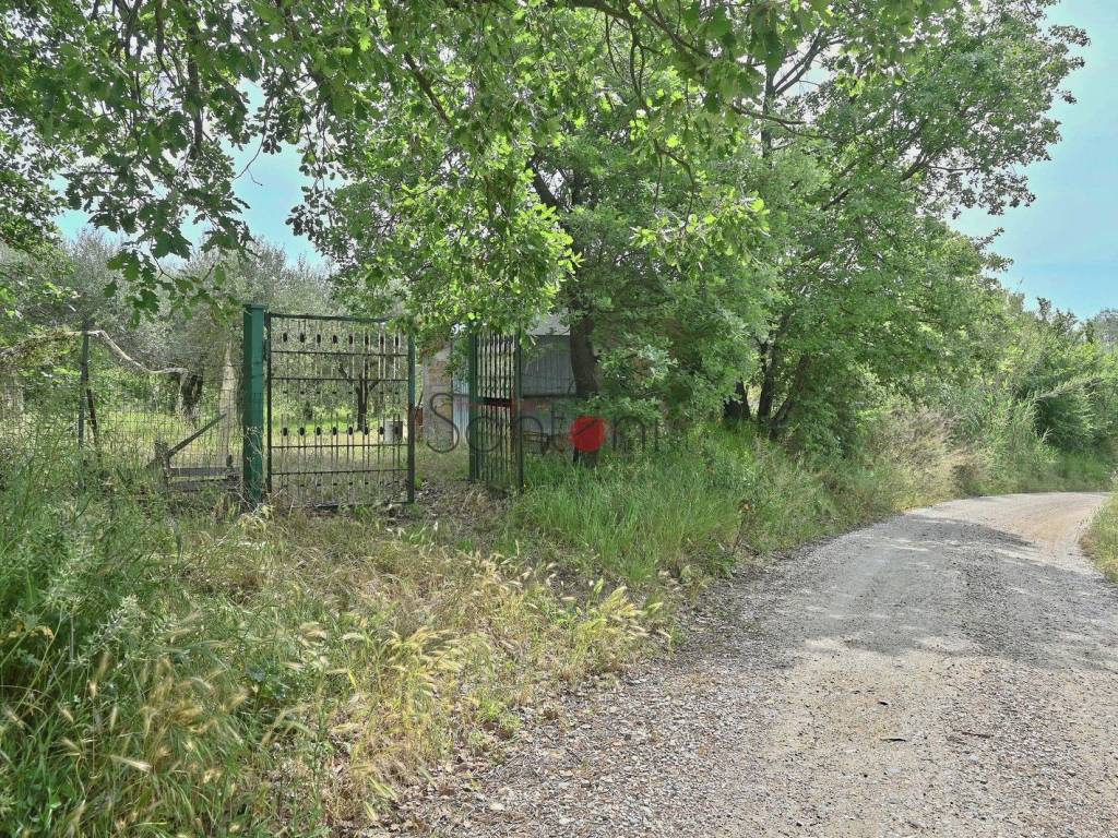 Immobile a Viterbo in Via della Stazione, 69 - Foto 2