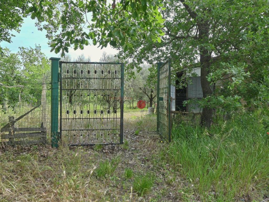 Immobile a Viterbo in Via della Stazione, 69 - Foto 3