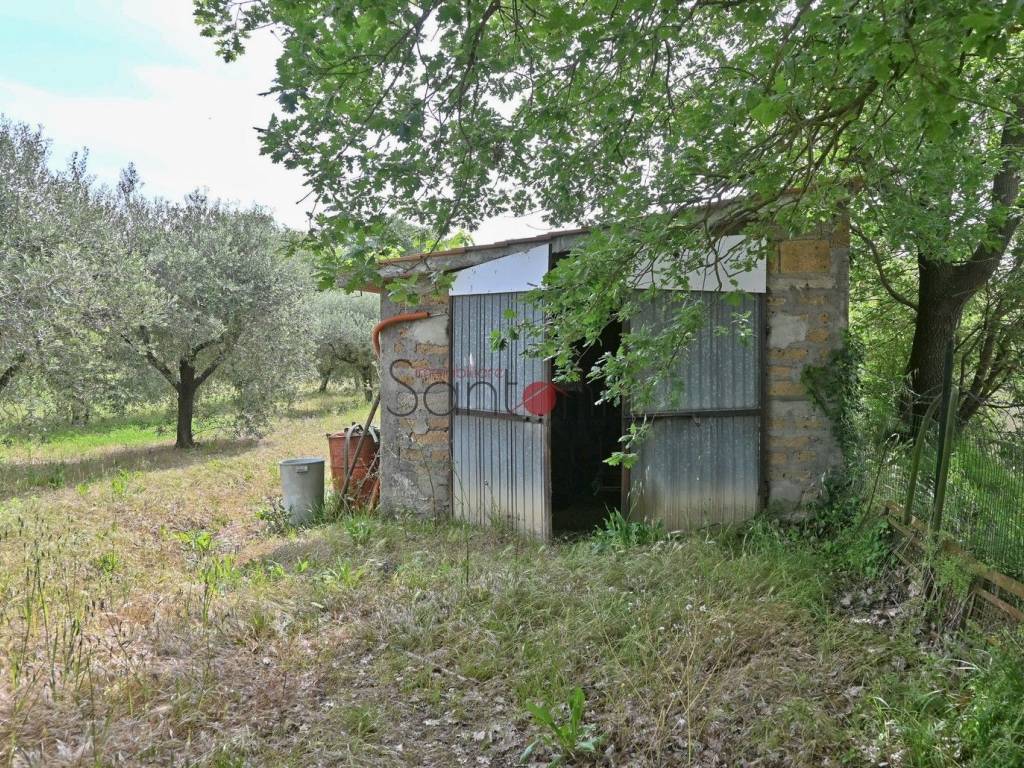 Immobile a Viterbo in Via della Stazione, 69 - Foto 4