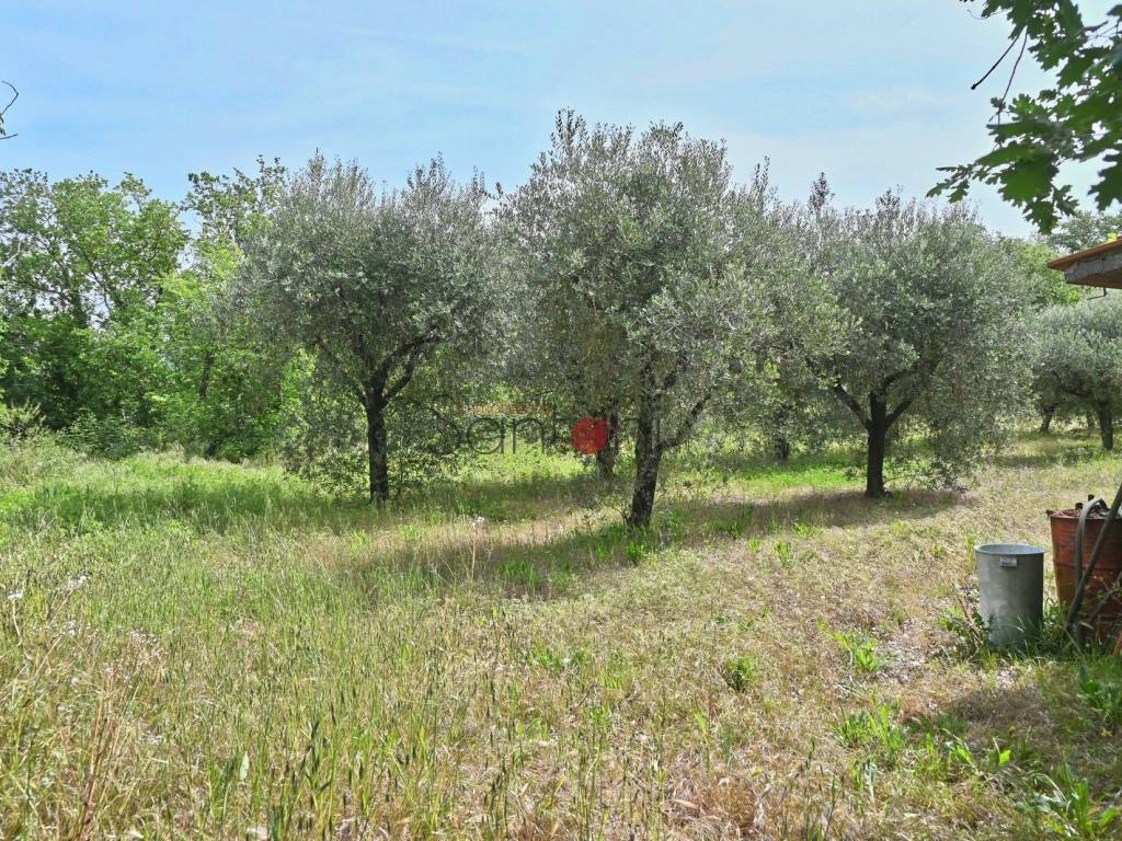 Immobile a Viterbo in Via della Stazione, 69 - Foto 5