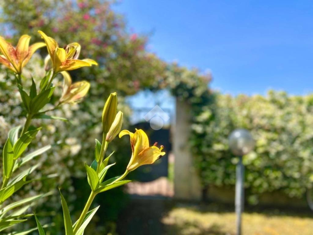 Villetta a schiera a Montalto di castro in Strada Litoranea - Foto 5