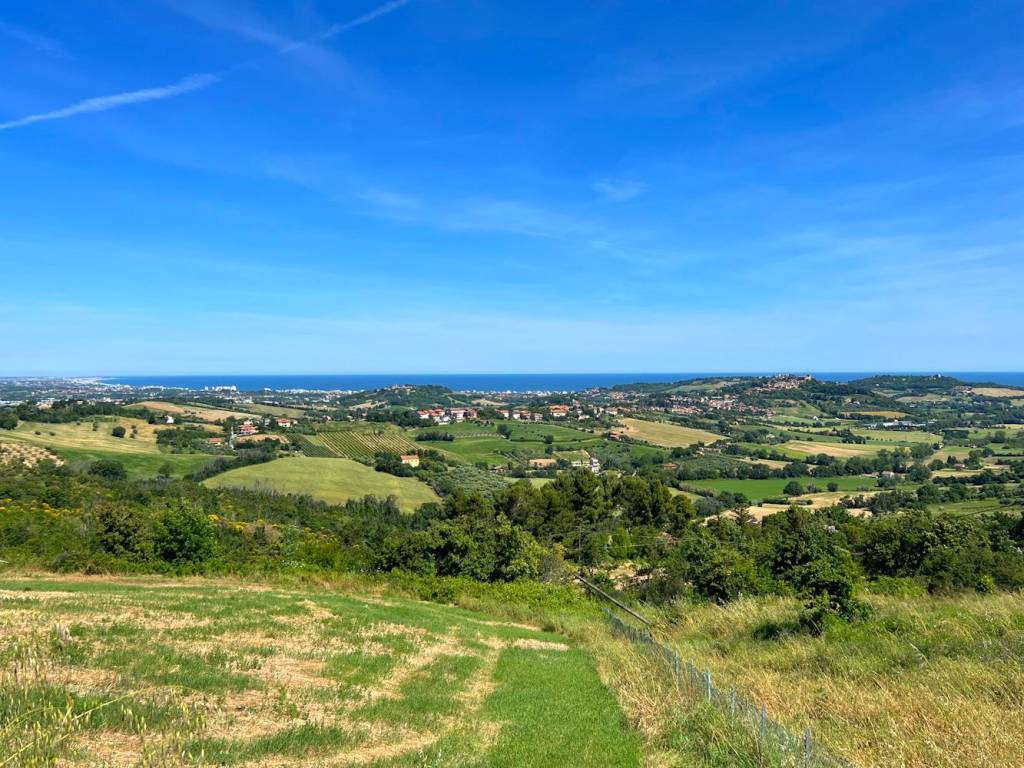 Terreno a Tavullia in Strada Monteluro - Foto 2