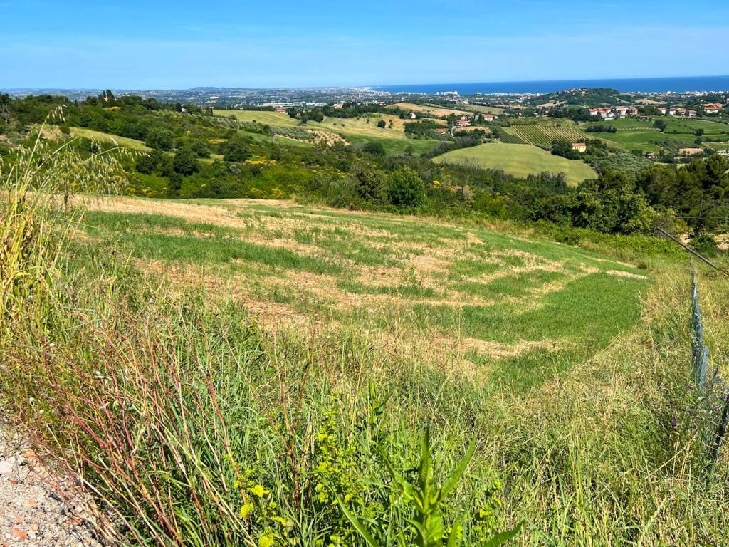 Terreno a Tavullia in Strada Monteluro - Foto 3