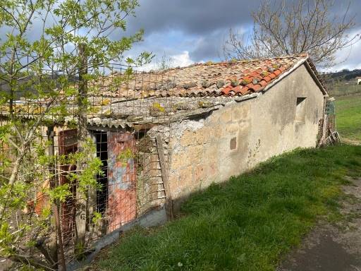 Rustico / casale a Roccalbegna - Foto 4