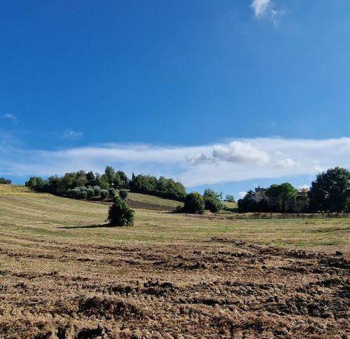 Appartamento a Senigallia in Degli Oleandri 4 - Foto 5