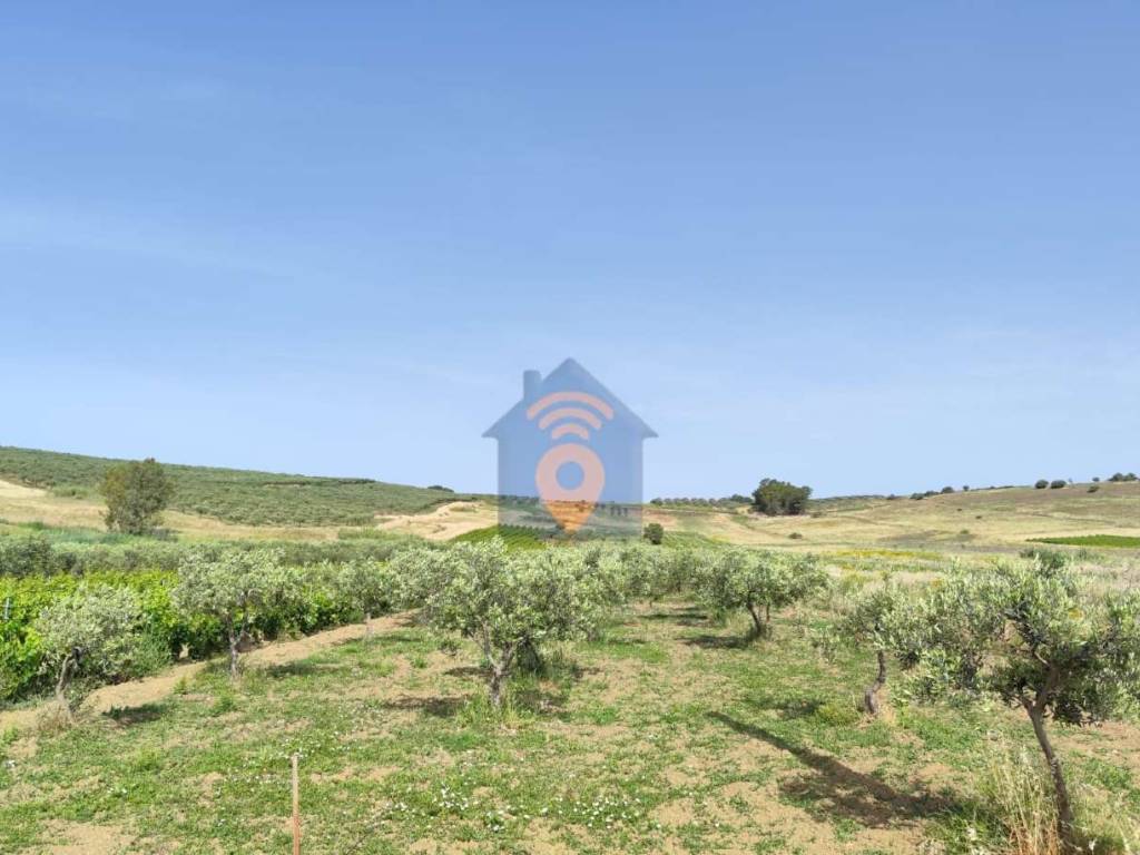 Terreno a Castelvetrano in contrada Belice Mare - Foto 3