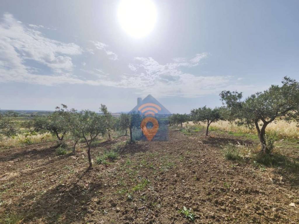 Terreno a Castelvetrano in contrada Belice Mare - Foto 4