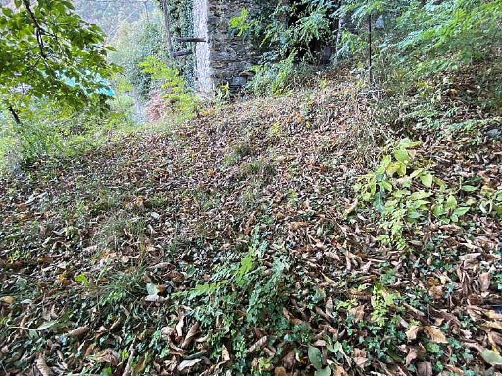 Rustico / casale a Gordona in Via Gradesella - Foto 3