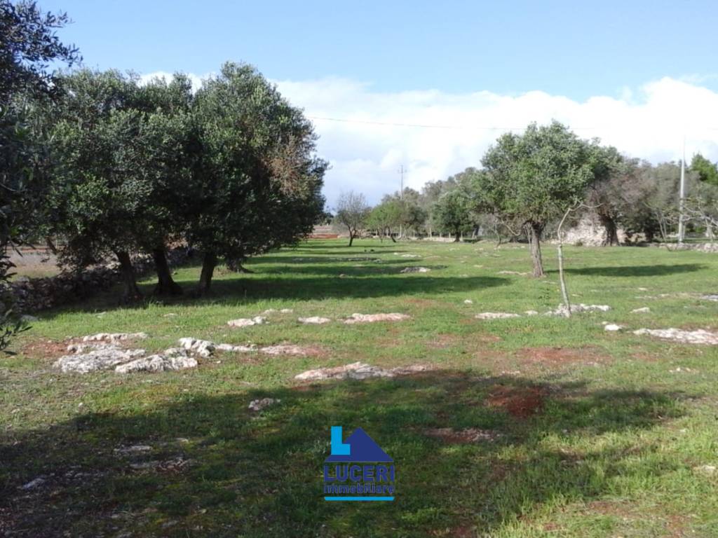 Terreno a Sannicola in Canale Longo - Foto 2