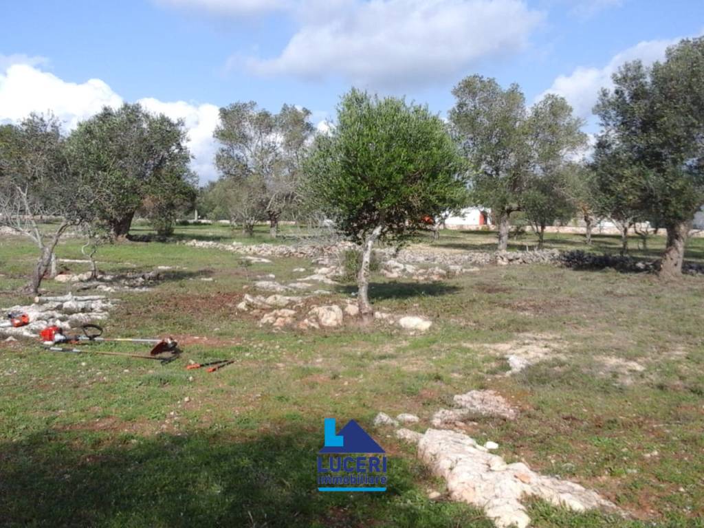 Terreno a Sannicola in Canale Longo - Foto 3