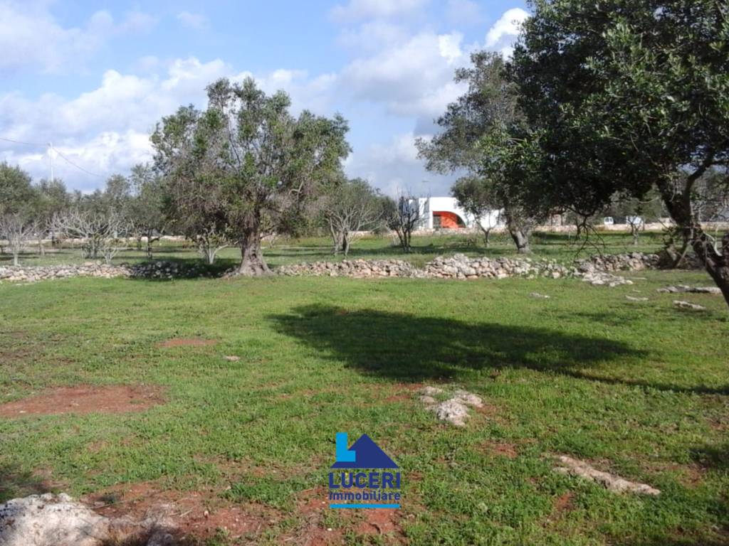 Terreno a Sannicola in Canale Longo - Foto 4