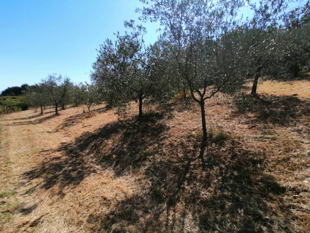 Terreno a Serravalle pistoiese in Via Morione - Foto 3