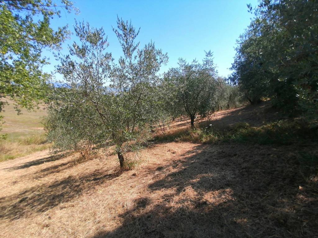 Terreno a Serravalle pistoiese in Via Morione - Foto 4