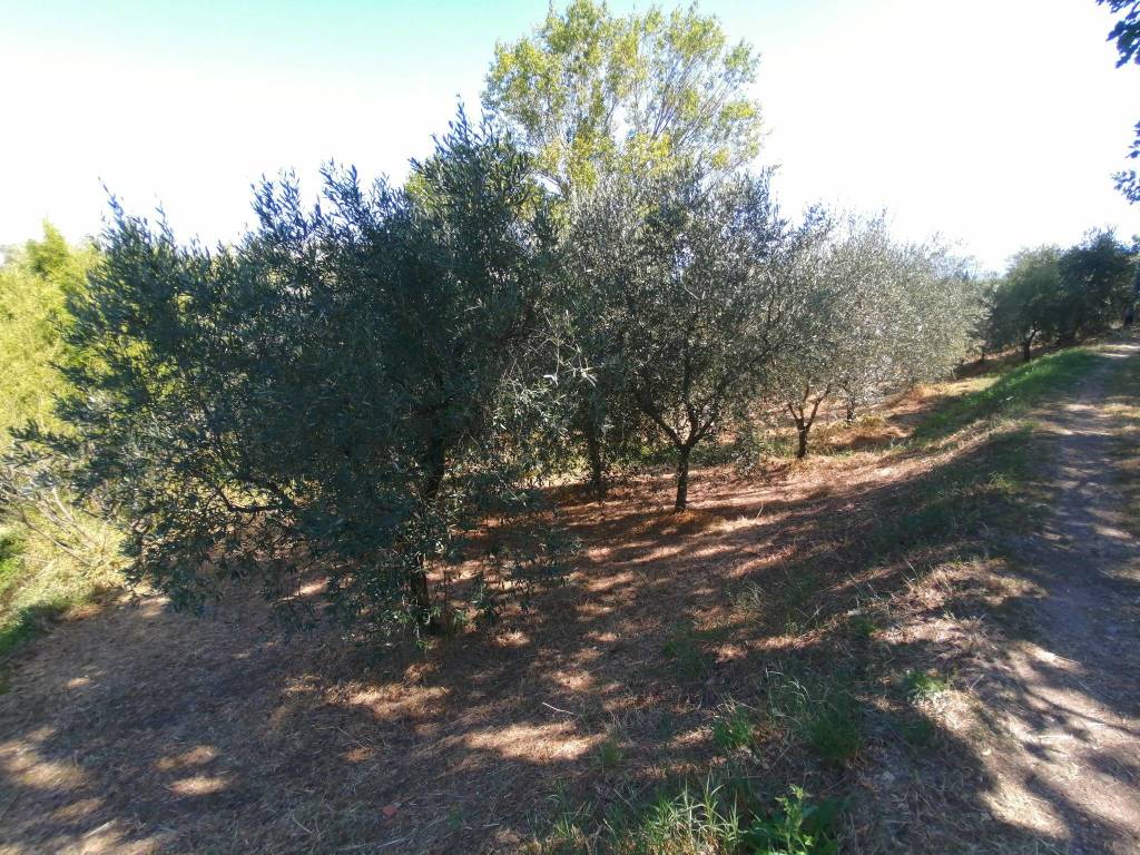 Terreno a Serravalle pistoiese in Via Morione - Foto 5