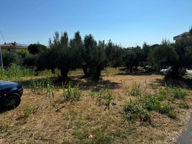 Terreno a Tortoreto in Via Muracche Seconda, 33 - Foto 2