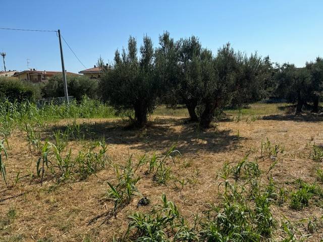 Terreno a Tortoreto in Via Muracche Seconda, 33 - Foto 5