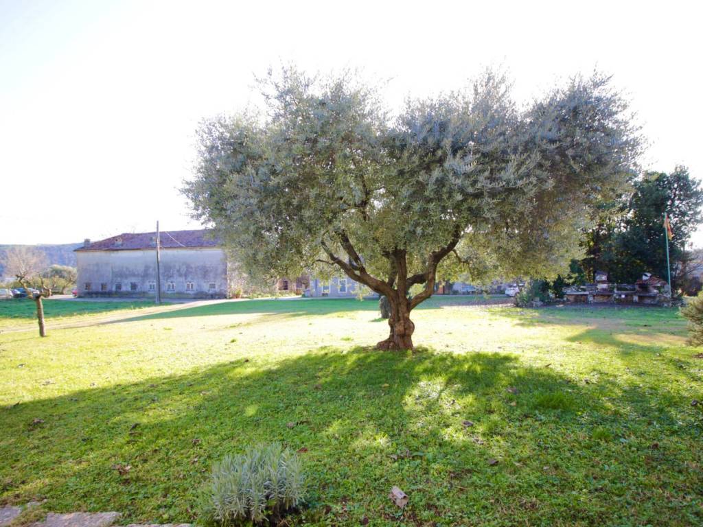 Villa a Trissino in San Rocco, 34 - Foto 3